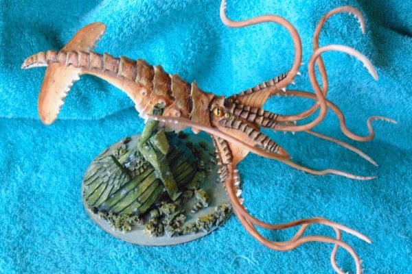 Кракен тор krakens13 at
