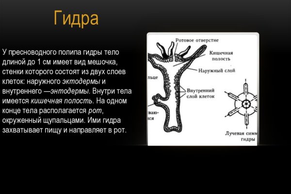 Дарк нет кракен