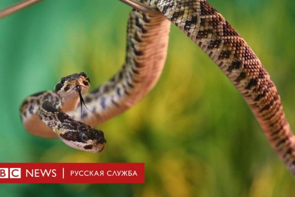 Кракен шоп это