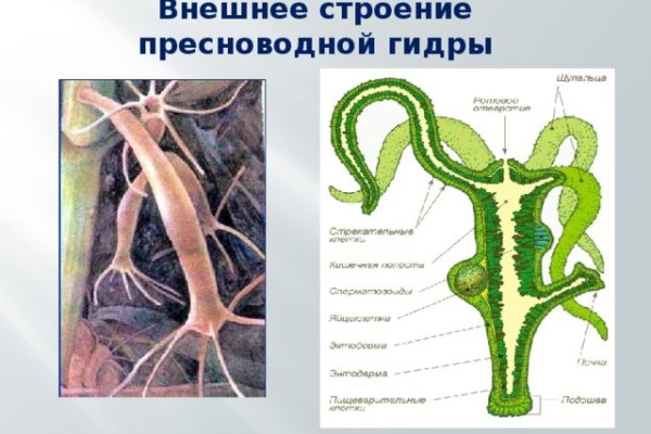 Кракен наркокортель