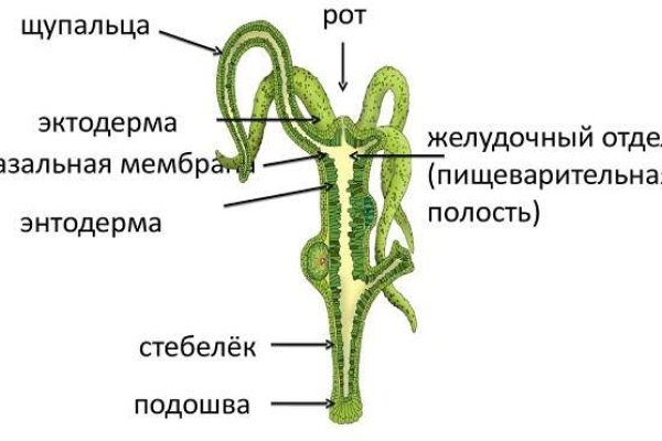 Kra44.cc Вход на сайт главная страница